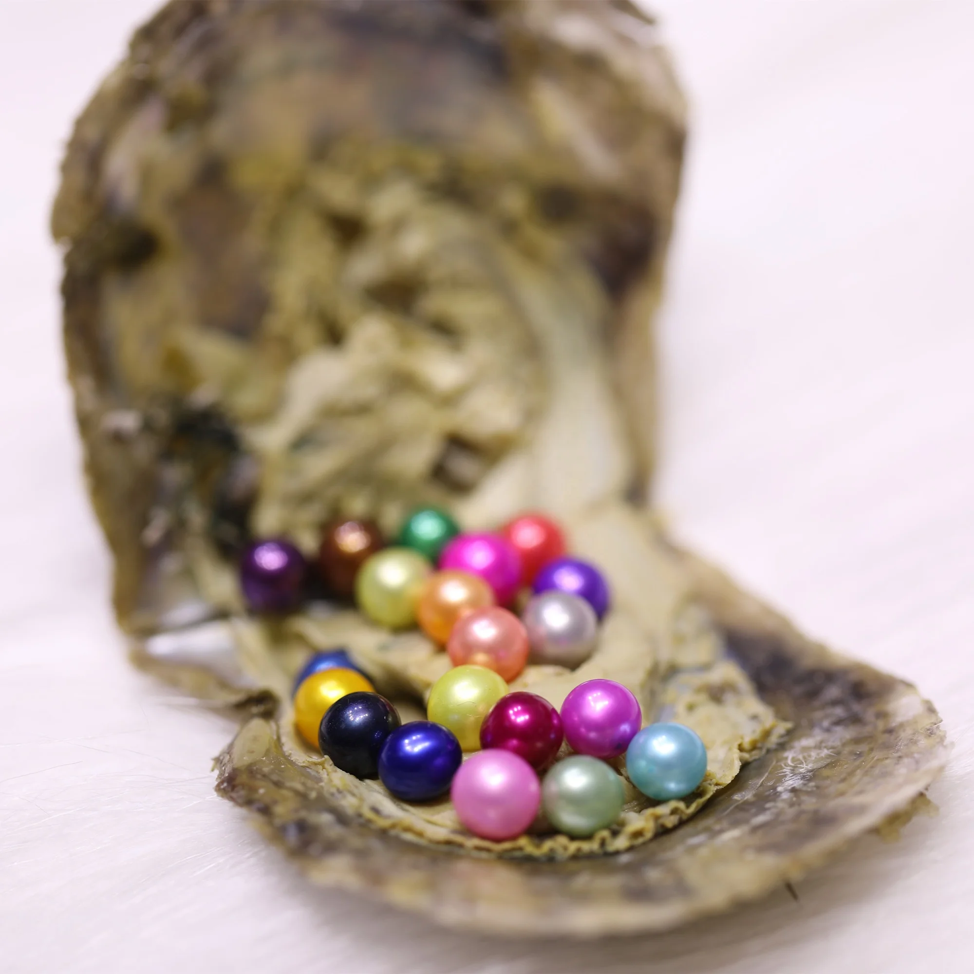 34 colors 20 pearls in 1 Akoya pearl oyster,7-8mm 3A grade round pearl,Freshwater Natural Pearl in akoya oysters Vacuum packing