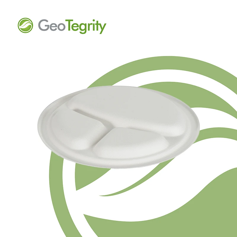 
Sugarcane Disposable round Plate 9' 