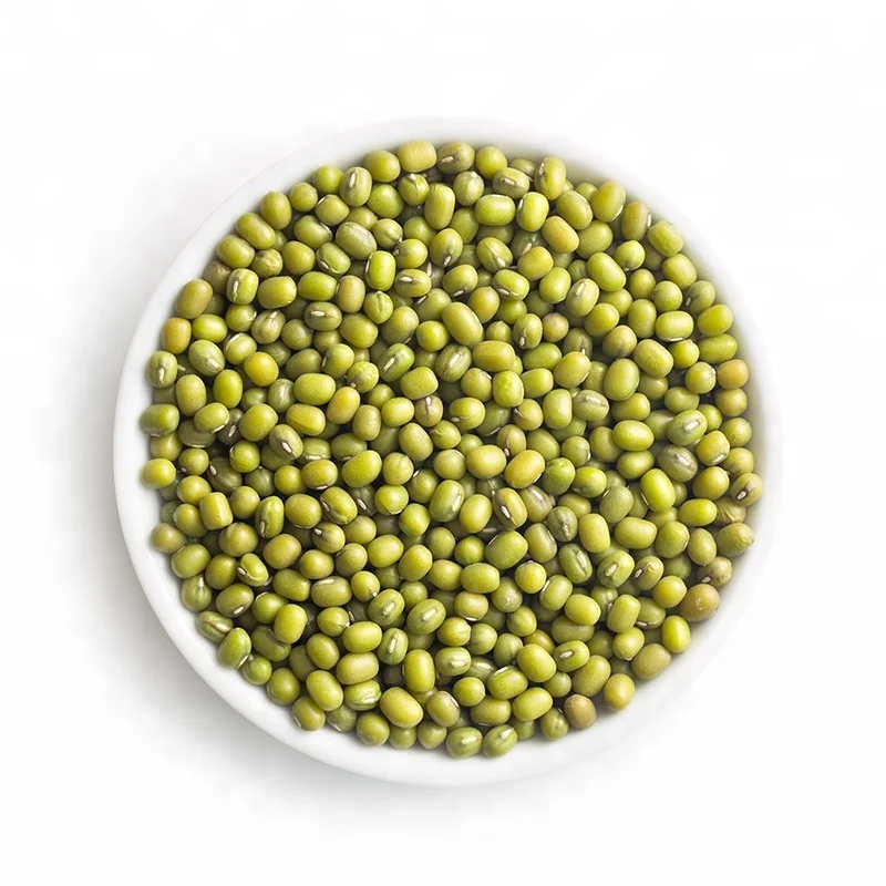 
Chinese top grade fresh green mung bean harvester green mung bean for sprouting 