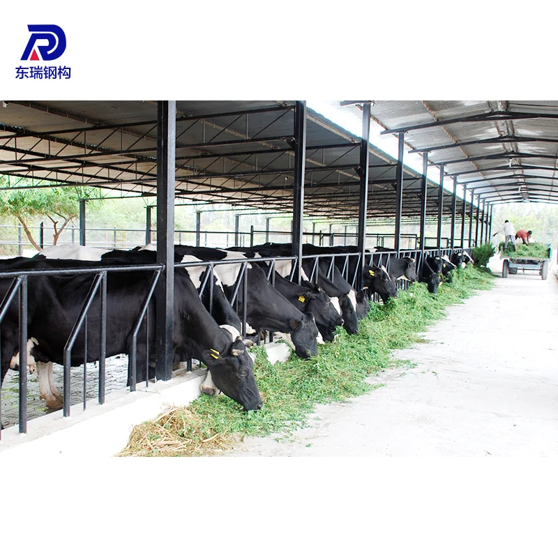 Portable poultry commercial chicken house designs