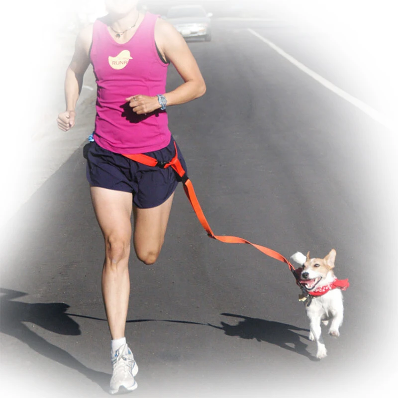 
Nylon Walk Pet Lead Dog Leash for Dogs, Outdoor Security Training Dog Harness, metal Dog snap hooks 