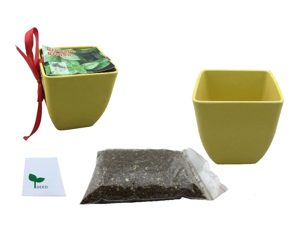 
 Комнатный травяной садовый набор, персонализированный сувенир, рекламный индивидуальный сувенир, сувенир для гостей  
