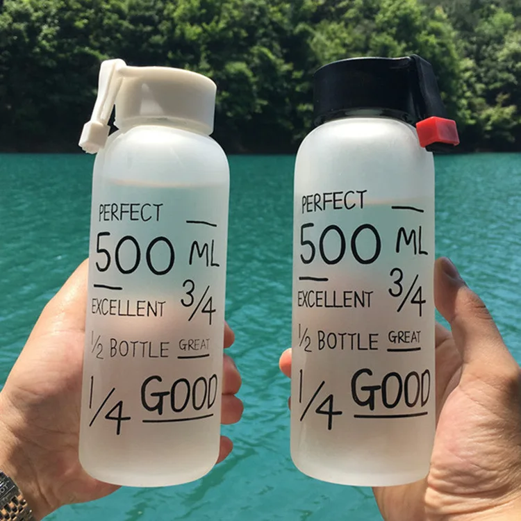 Best Quality My Breakproof Bootl 2 Colors Sports Cycling Camping Readily Space Health Lemon Juice Make 500ml Glass Water Bottle