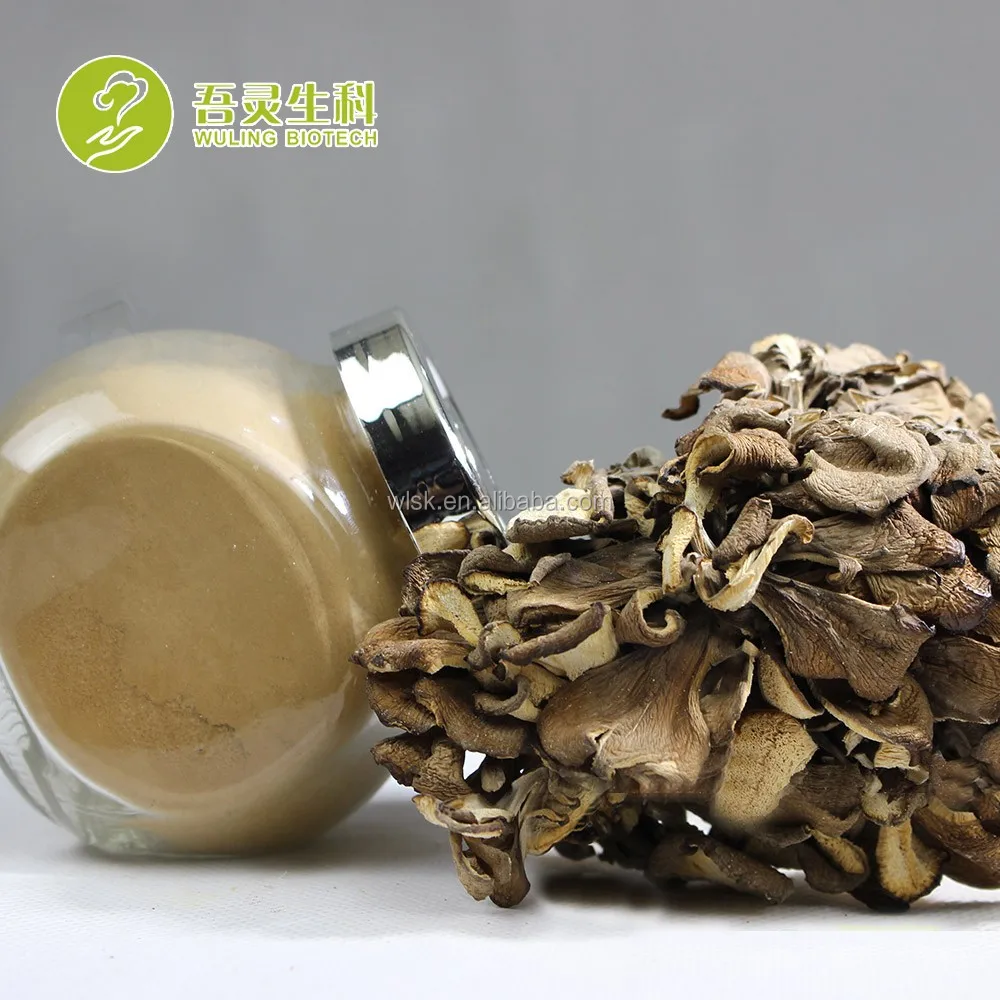 Free sample professional manufacturer maitake fungi frondosa mushroom growing with PDF approval