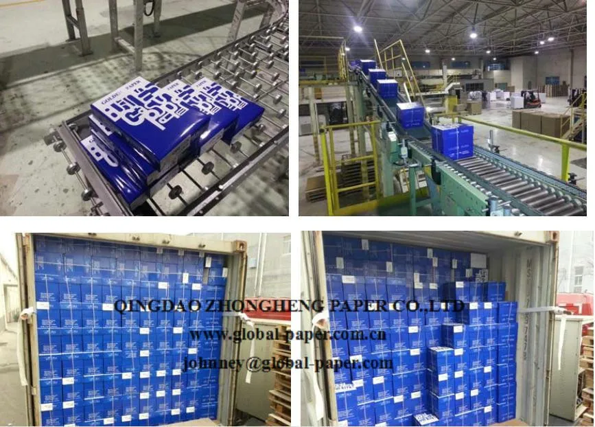 Quality Copier A4 Paper 80 gsm (210 mm X 297 mm)