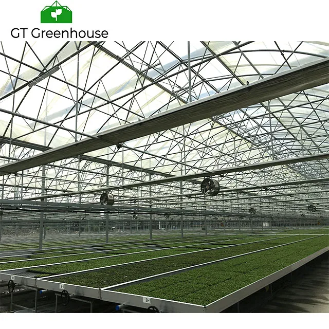Agricultural Used Victorian Polycarbonate Greenhouse Equipments for Sale