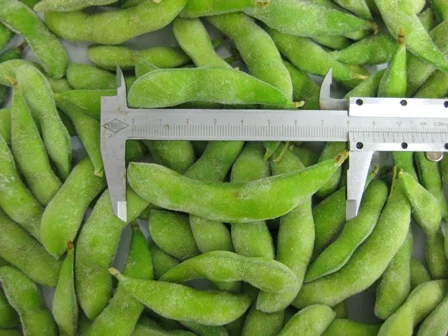 2017 Урожай Сои Замороженных Природа Зеленый Здорового Edamame