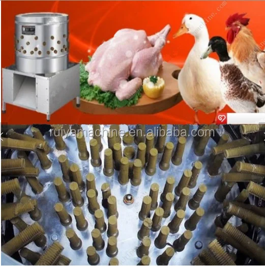 Factory price Chicken plucking machine / Industrial bird plucker chicken feather cleaning machine 0086-15981835029