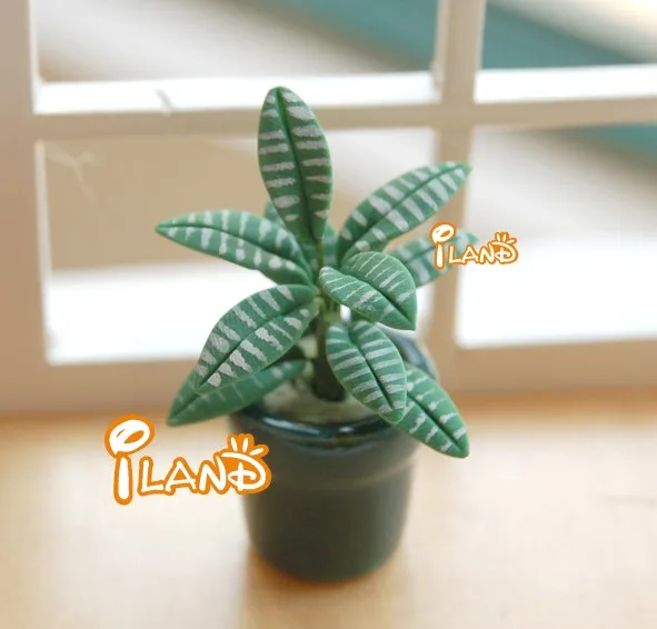 iland miniatures Dollhouse Miniature Garden Potted Zebra Leaf Plant Mini Flower OP021