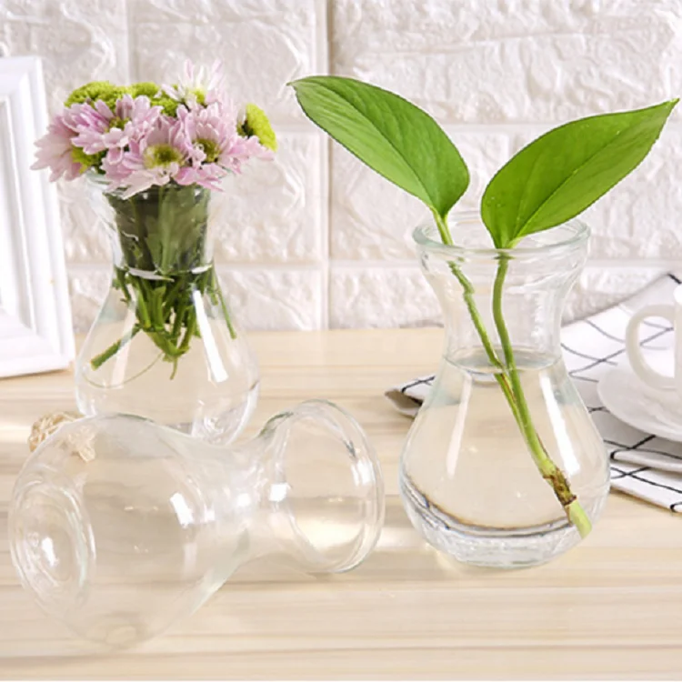 Hydroponic Vase, Home Modern Glass Flower Vase, Hyacinth Vase colorful