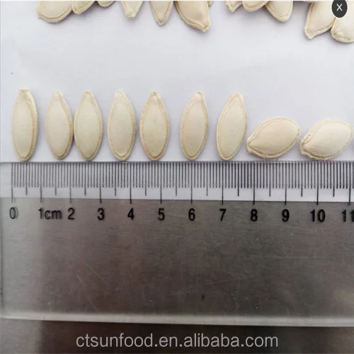 Внутренняя Монголия, Китай 2021, новый урожай, хорошее качество, низкая цена, семена тыквы