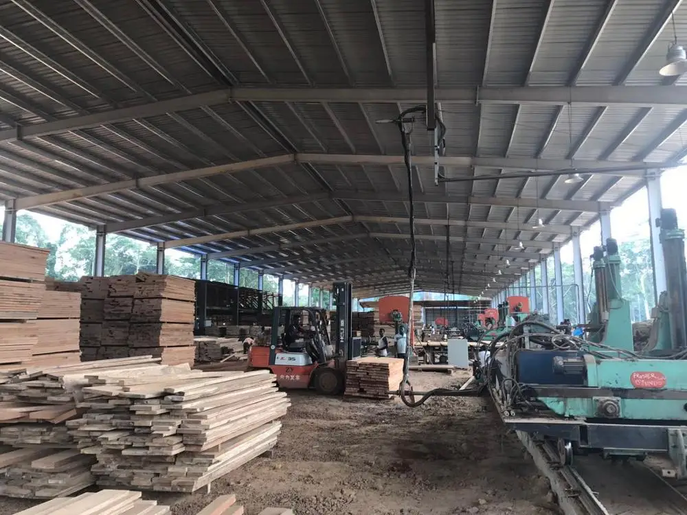 Wooden round logs/timber/ BIRCH/ ADOUNG/DABEMA/ OKAN/ RED ZEBRA/ TALI/ ZINGANA