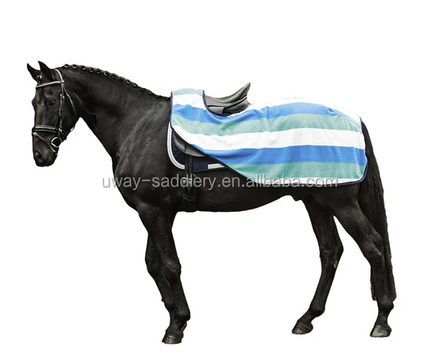 
Equestrian horse exercise sheet 