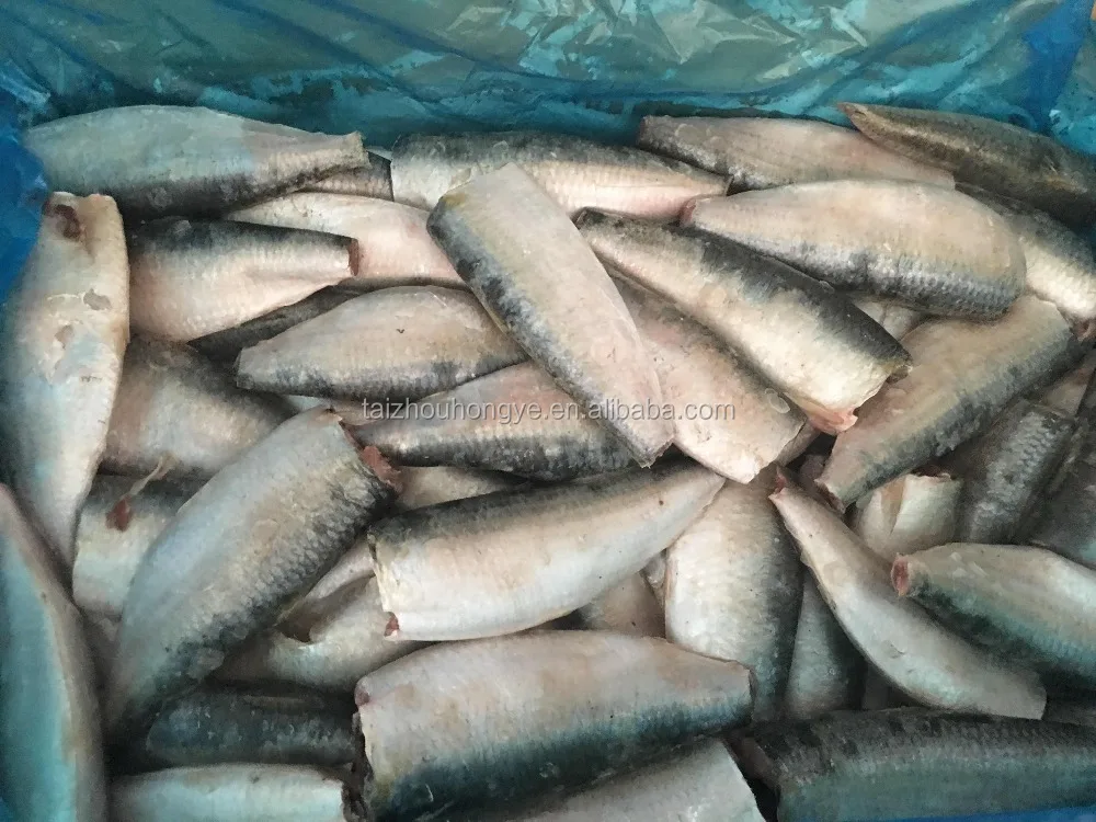
frozen sardine HGT sardinella longiceps for canning and market 