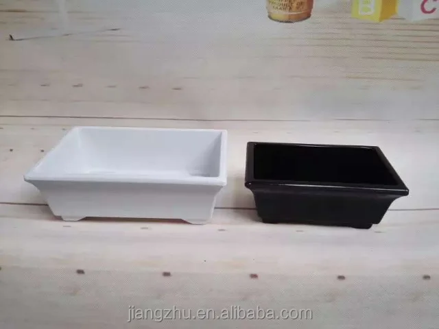 
succulent plant square plastic flower pot 