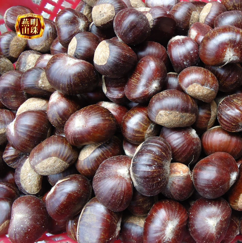 2020 Best Organic Chinese Fresh Raw Yanshan Chestnuts for Sale