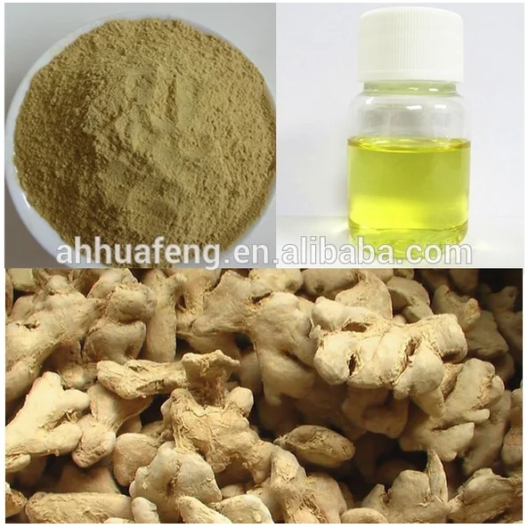 ginger essential oil producer,ginger oil professional factory