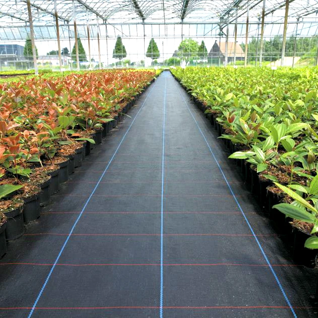 
wholesale black polyethylene anti insect film weed control mat 