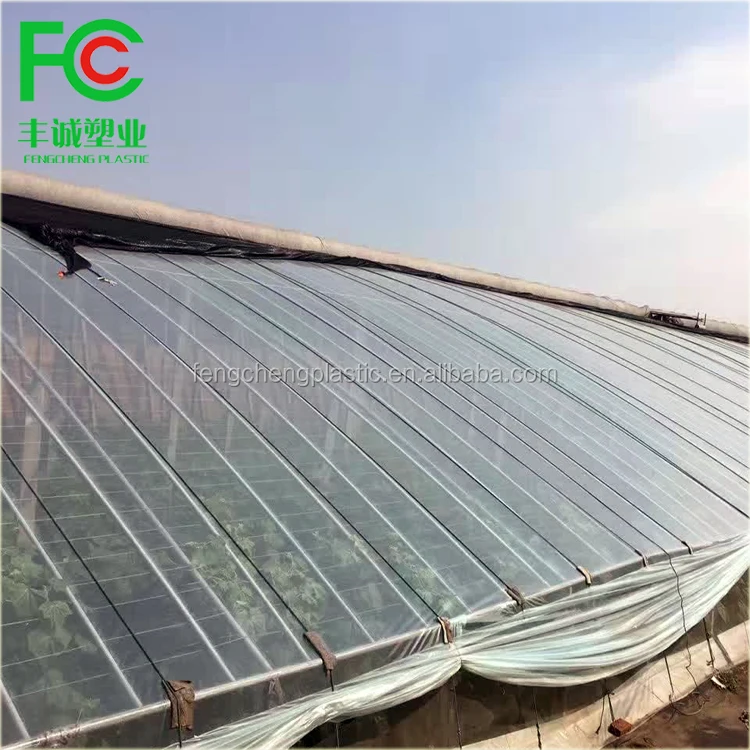 PE greenhouse film, etfe greenhouse film, tunnel plastic greenhouse film agriculture