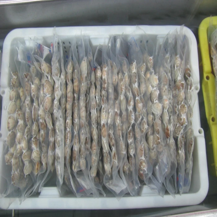 Frozen cooked baby clam meat with vacuum package