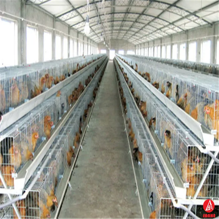 Cheap Chicken Laying Cage/layer Egg Chicken Cage/poultry Farm House Design