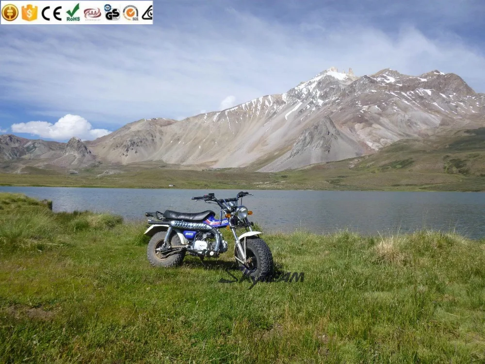  SKYTEAM T-REX 50cc 4-тактный на дорожный мотоцикл (одобренный ЕЭС 5 5-10 