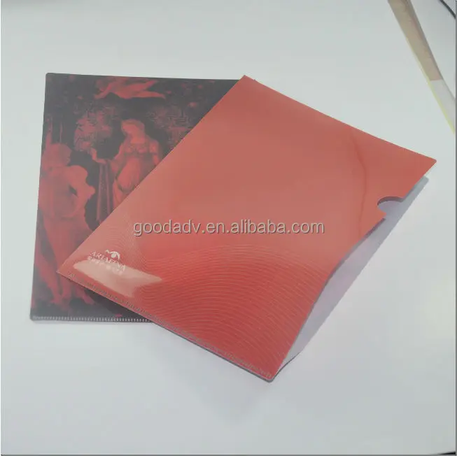 Plastic file folder/pp folder file