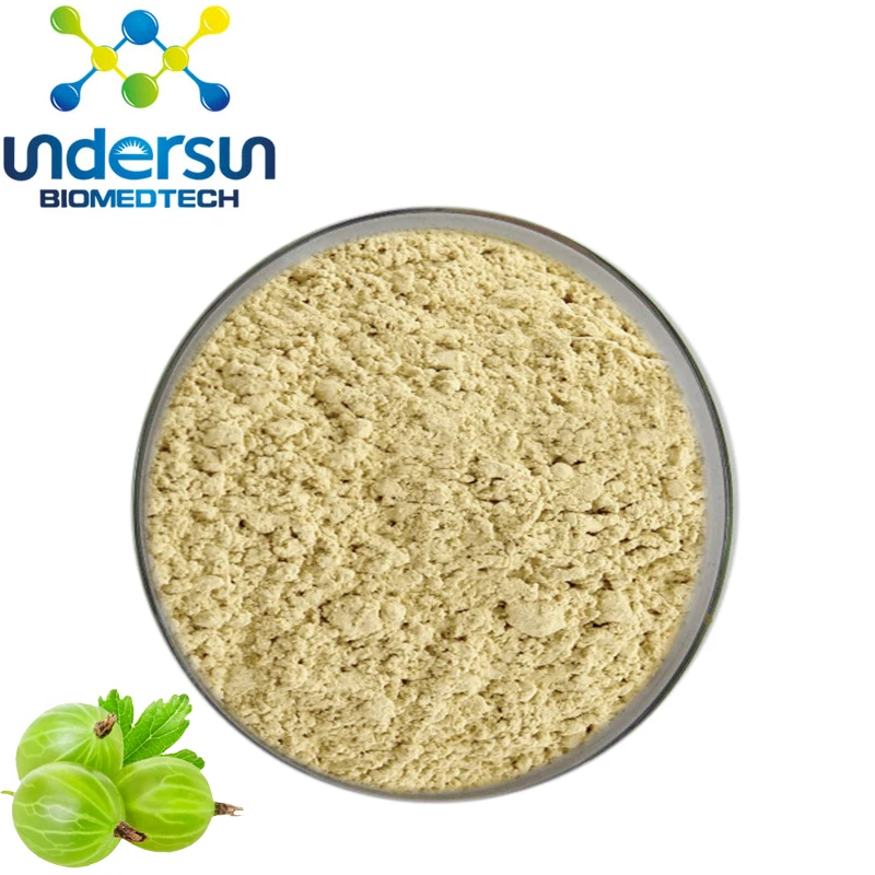 Factory supply Amla powder 40% tannins