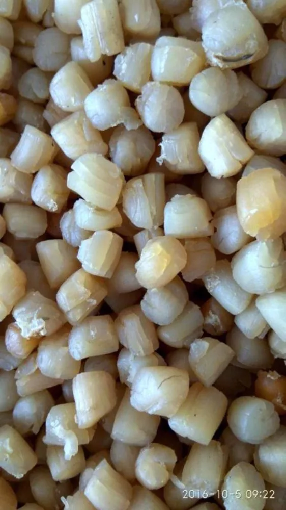 
hot sales new season dried scallop in China 