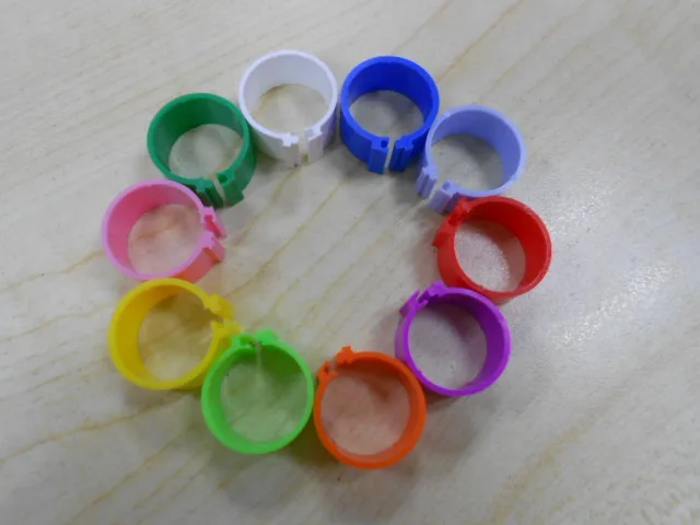 NL621top selling pet products colorful number pigeon rings
