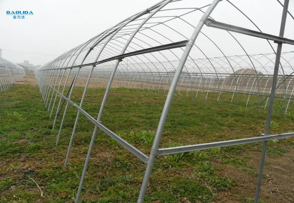 
cheap vegetables tunnel greenhouse baolida tunnel green house 