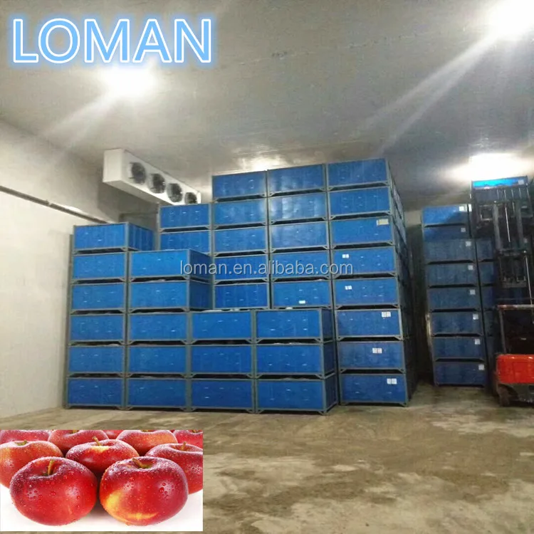 Холодное хранение яблок в Узбекистане