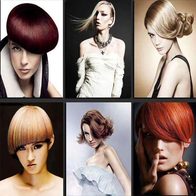 Private Label Best Ammonia Free/Low Permanent Professional Hair Color