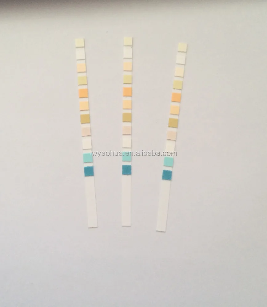 
urine test strips 