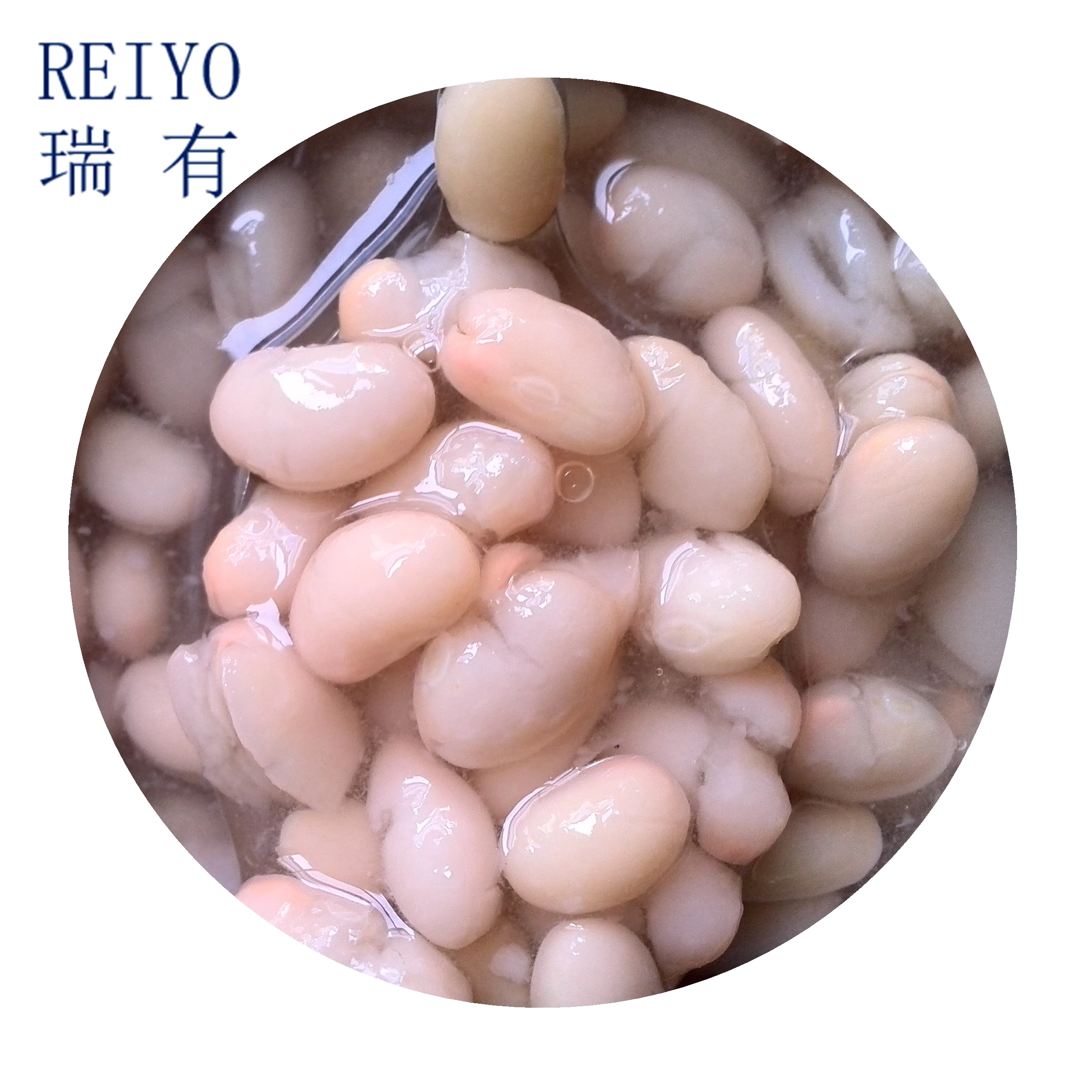 
Canned food all kinds of canned vegetables 