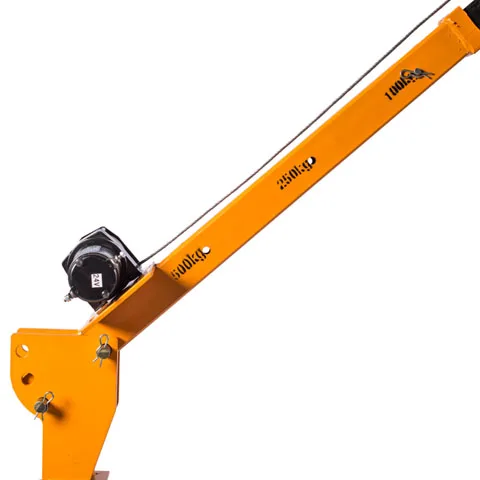 electric mini lifting crane/small portable lift crane made in China