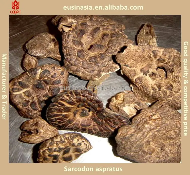 
Dried mushrooms sale boletus edulis/champignon/morchella/oyster/shiitake etc 