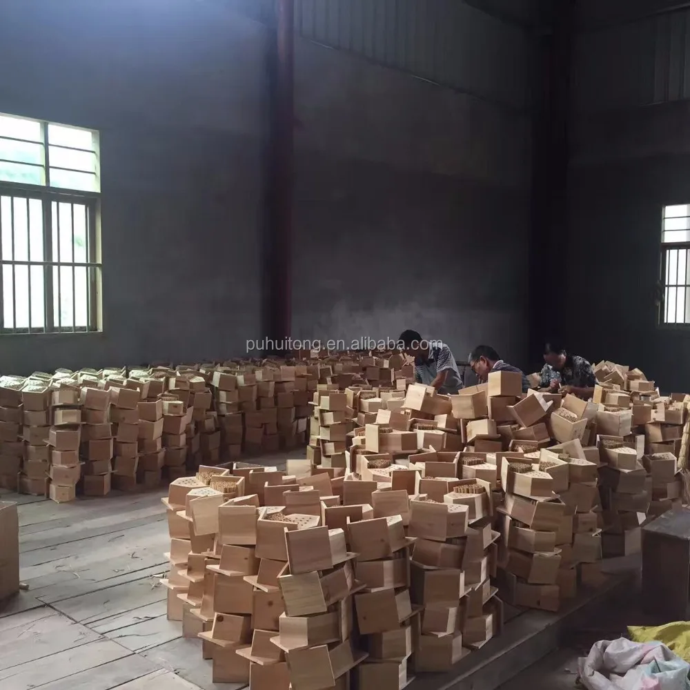 Bird house with feeder