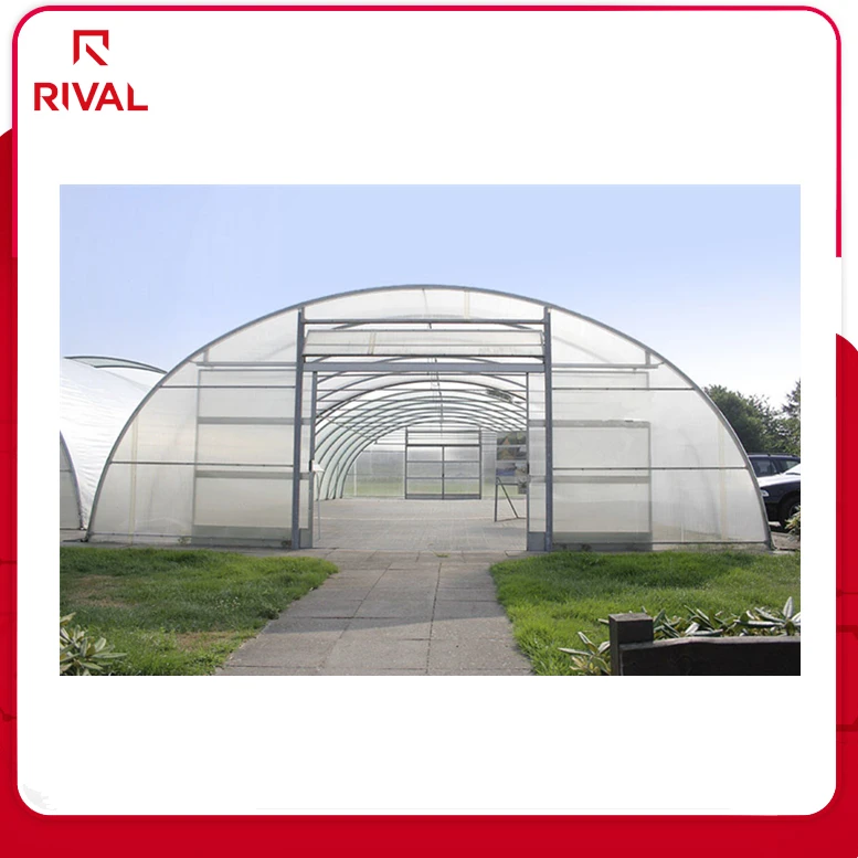 Wholesale China Hot Polycarbonate Greenhouse Film