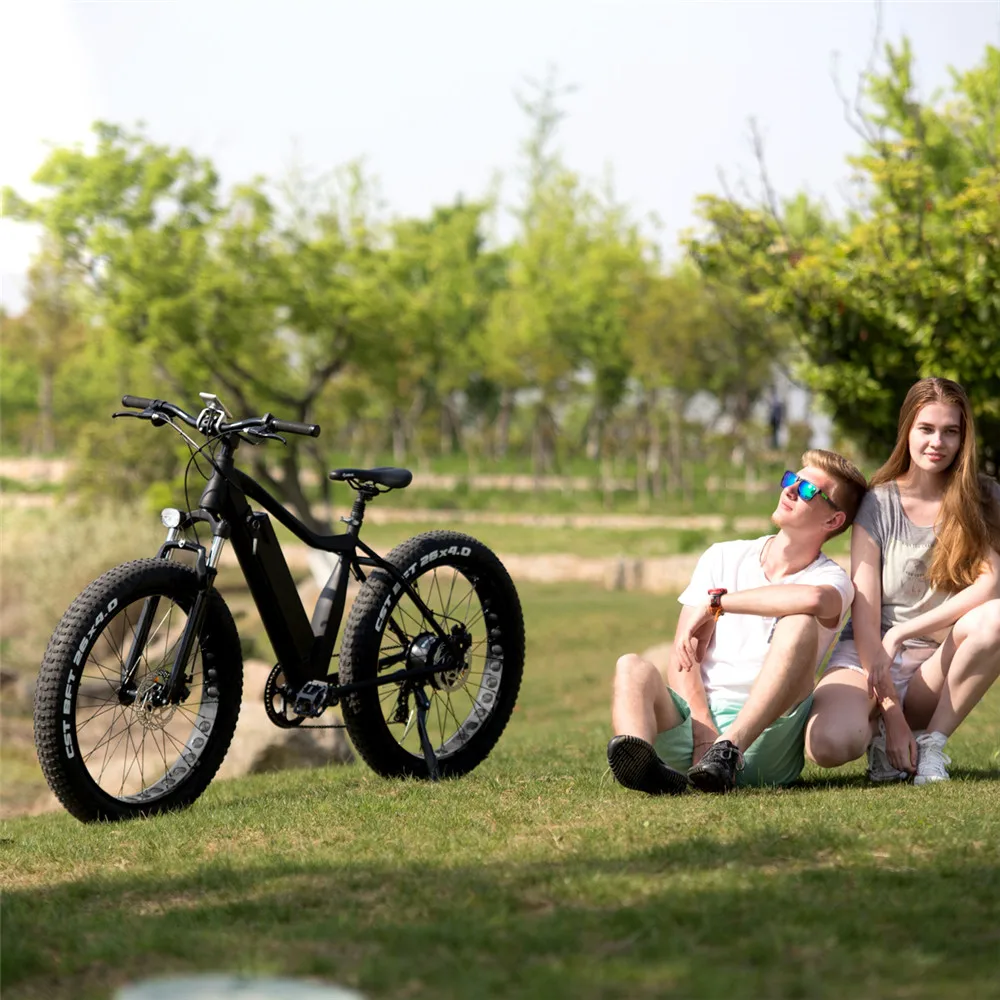 North American market E bike 36V 10AH lithium battery 250w 750W rear brushless hub motor mountain electric bicycle