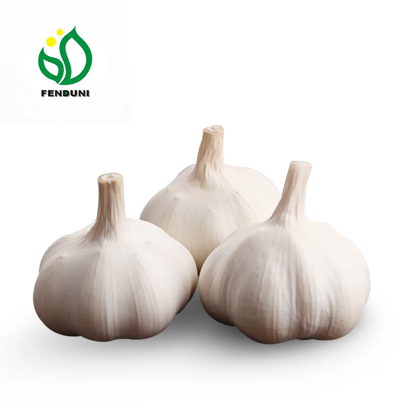 
2021 Normal White Fresh Garlic from Jining Fenduni Foodstuff Co., Ltd 
