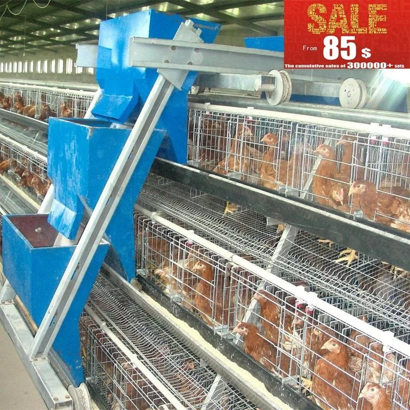 saudi arabia poultry farming chicken cage for sale