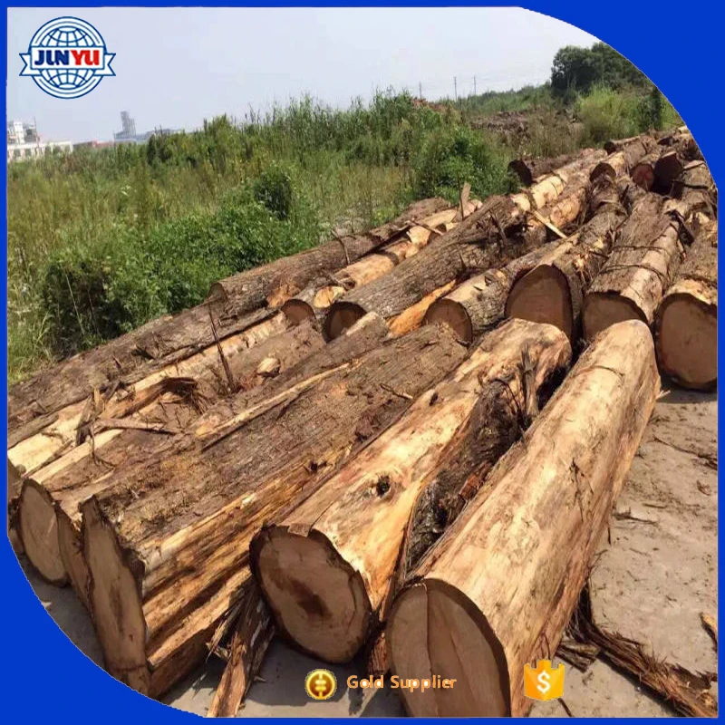 Japan hinoki wood logs sale/ hinoki wood logs with best price