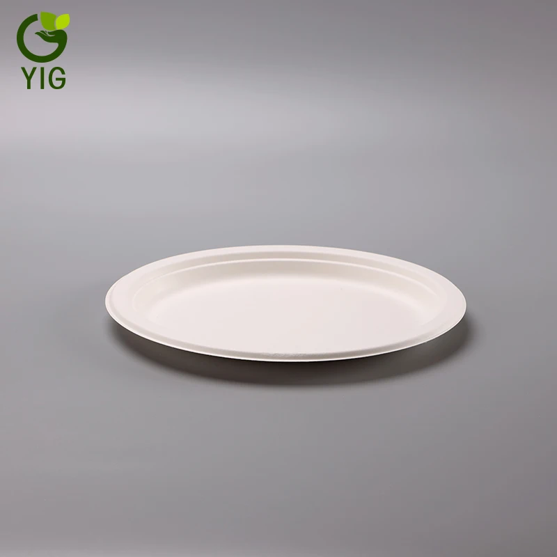
10 Inches 100% Eco Friendly Disposable Sugarcane Oval Plates 