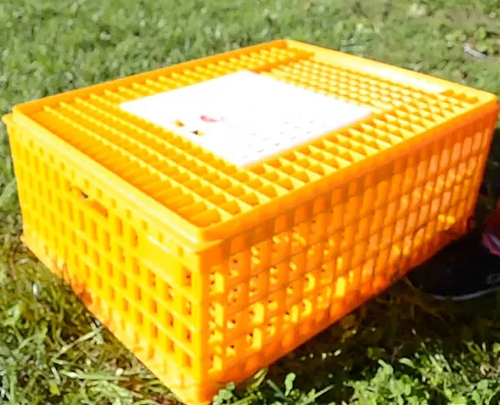 Best selling plastic Poultry Carrier Crate 8-10 Chickens for transportation