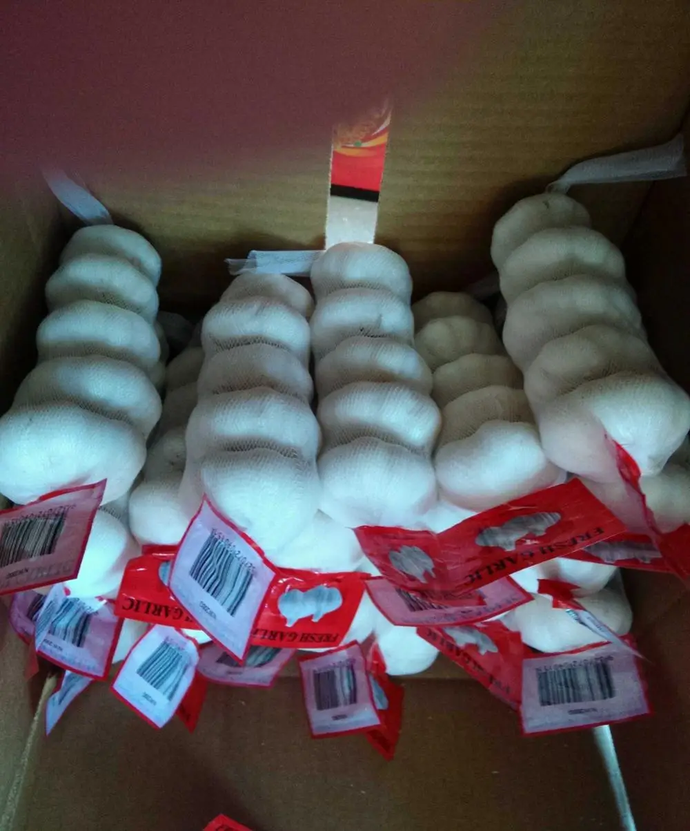 
2018 china fresh garlic price 
