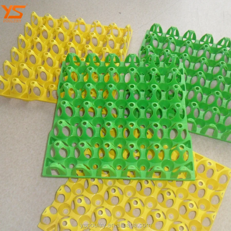 
Recycle Egg Carton 30 Holes Plastic Egg Packing Tray 