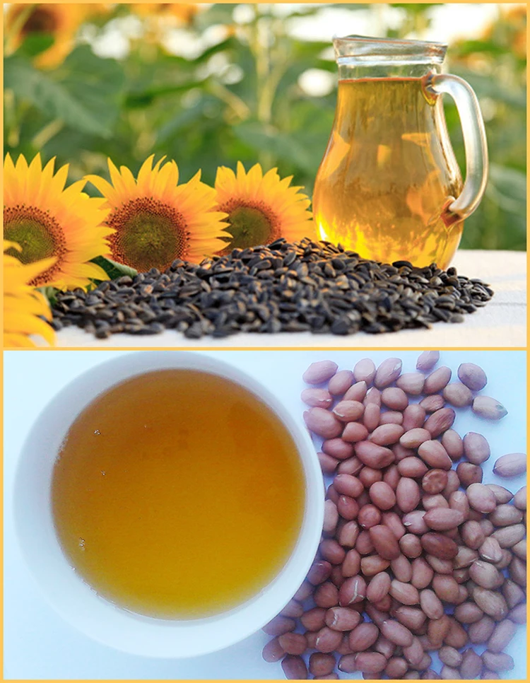 automatic commercial palm sunflower avocado olive black hemp seed coconut peanut cold screw oil press machine