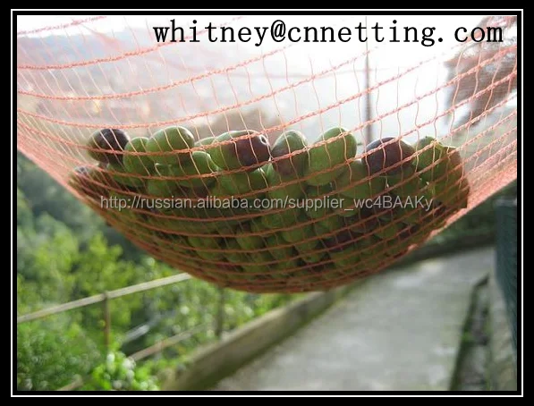 Чп сельскохозяйственная чистая для оливкового сбор