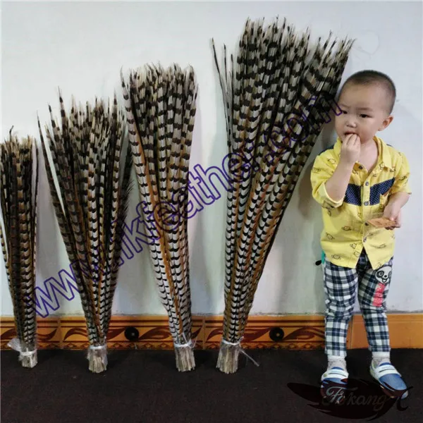 100-110cm Natural big Reeves Pheasant Tail Feather